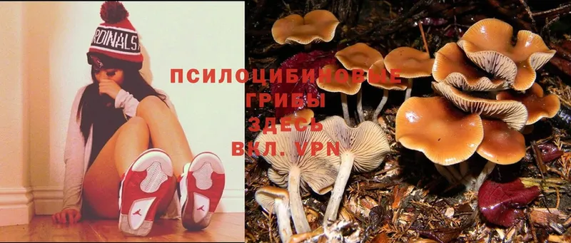 Псилоцибиновые грибы Magic Shrooms  Заозёрный 